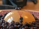 Rum-Karamell-Panna Cotta - Rezept - Bild Nr. 2201