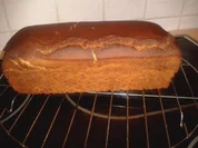 Gluten reduziertes Brot - Rezept - Bild Nr. 2190