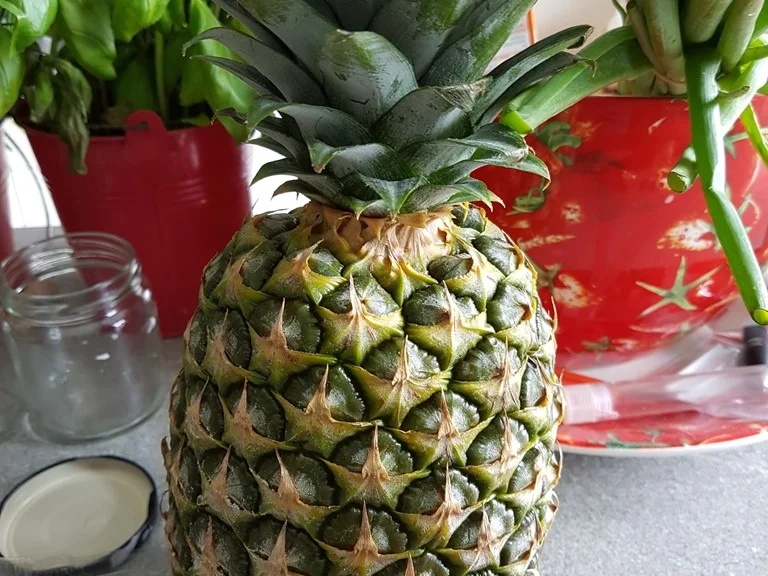 Fruchtige Bolognese mit Ananas in der Sosse - Rezept - Bild Nr. 2193