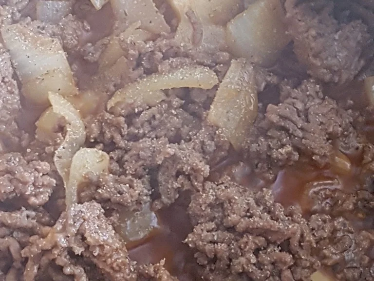 Fruchtige Bolognese mit Ananas in der Sosse - Rezept - Bild Nr. 2197