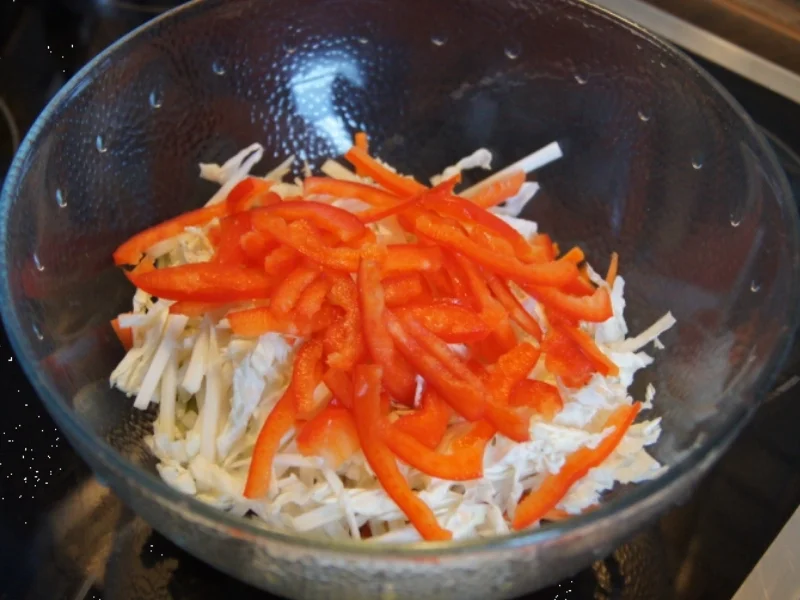 Rezept: Chinesischer Salat Bild Nr. 2201 Chinesischer Salat - Rezept - Bild Nr. 2201