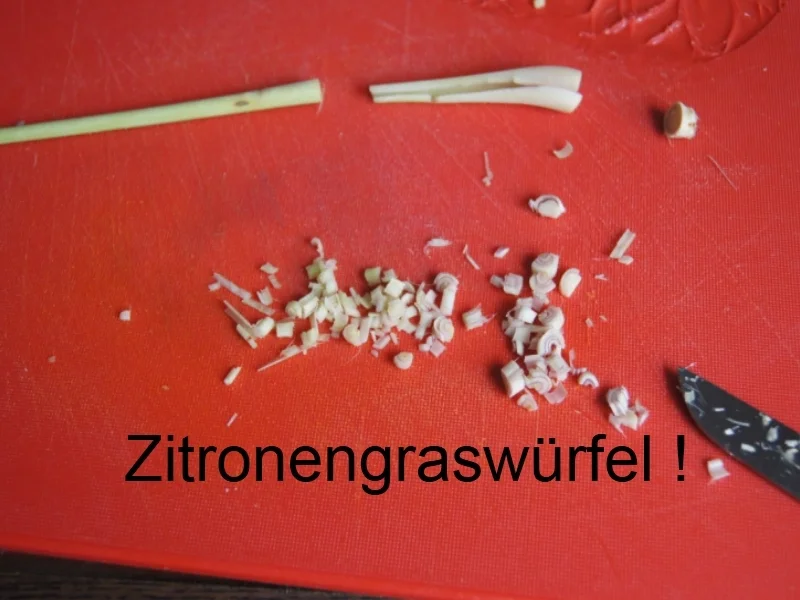 Kokossuppe Tom Kha Gai - Rezept - Bild Nr. 2229