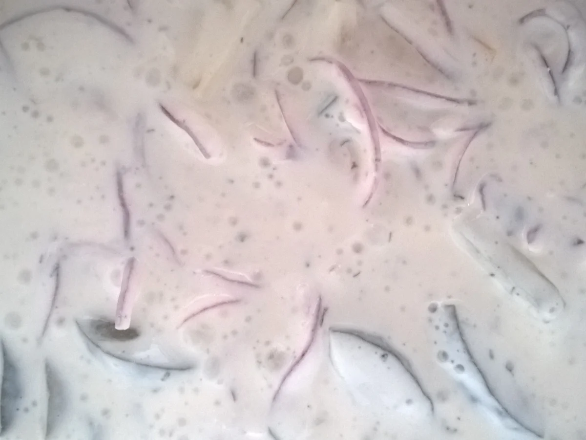 Heringsfilet oder Heringsstipp in Dill - Jogurt - Sahne Sauce, mit Speck Kartoffeln - Rezept - Bild Nr. 2222