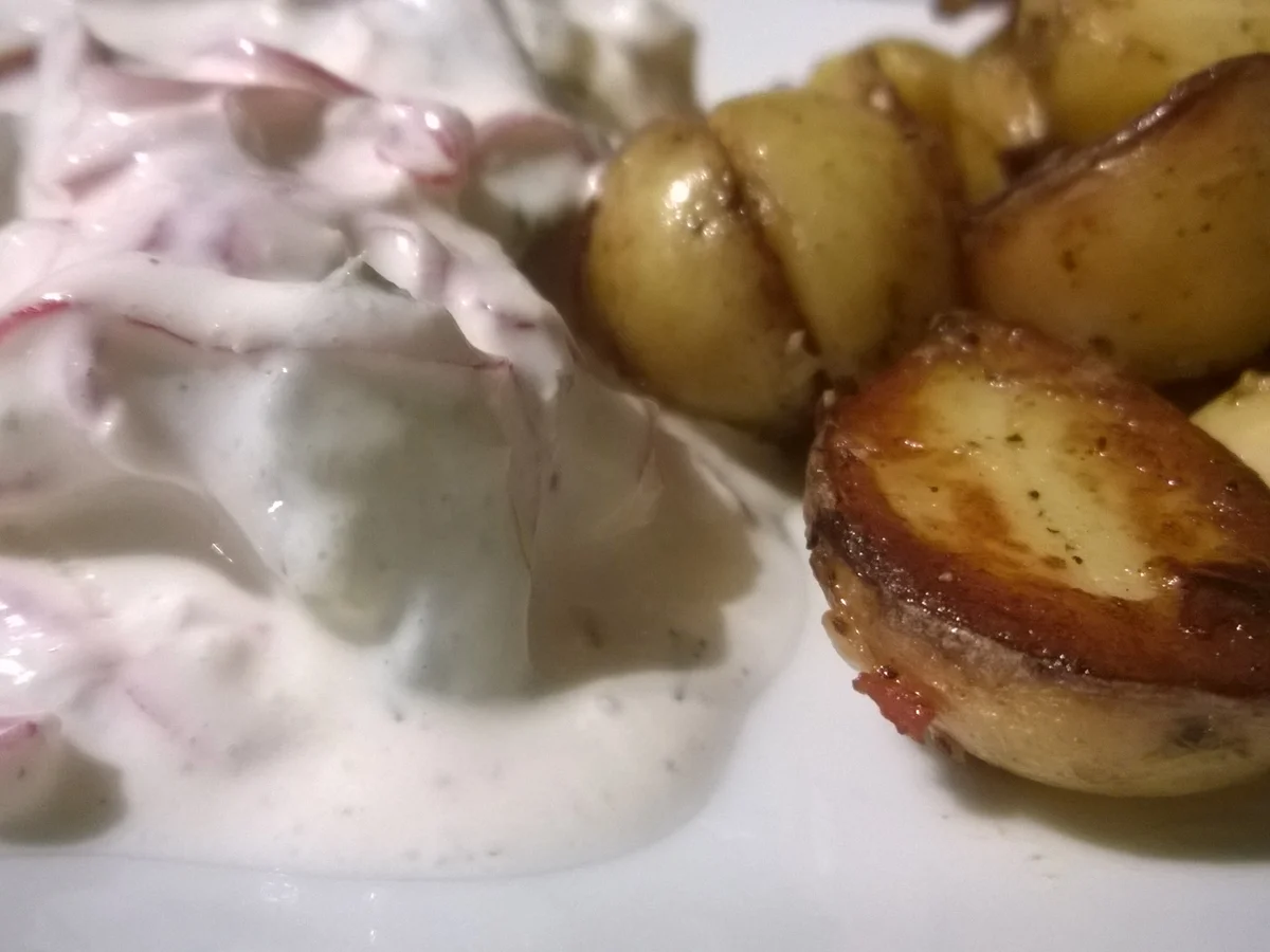 Heringsfilet oder Heringsstipp in Dill - Jogurt - Sahne Sauce, mit Speck Kartoffeln - Rezept - Bild Nr. 2221
