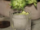 Gin Tonic - Rezept - Bild Nr. 2
