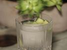 Gin Tonic - Rezept - Bild Nr. 2