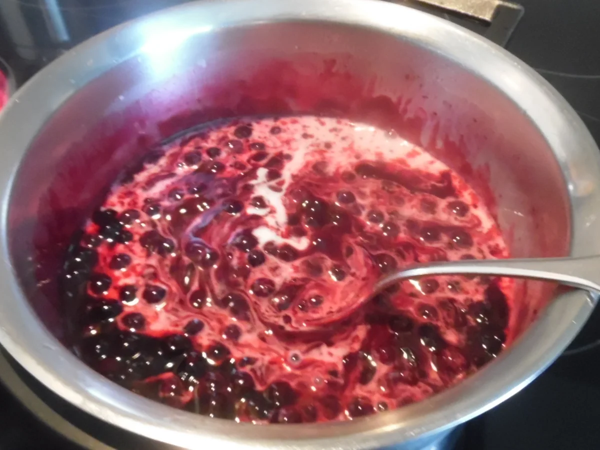 Rezept: Blaubeer-Strudel mit "Zopf-Optik" Bild Nr. 2221 Blaubeer-Strudel mit "Zopf-Optik" - Rezept - Bild Nr. 2221