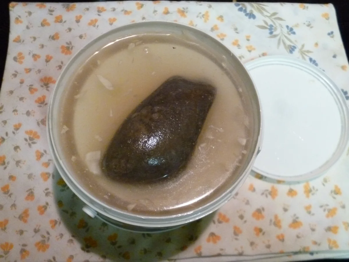 Sauerkraut / Einlegen und Einsäuern von Weißkohl - Rezept - Bild Nr. 2227