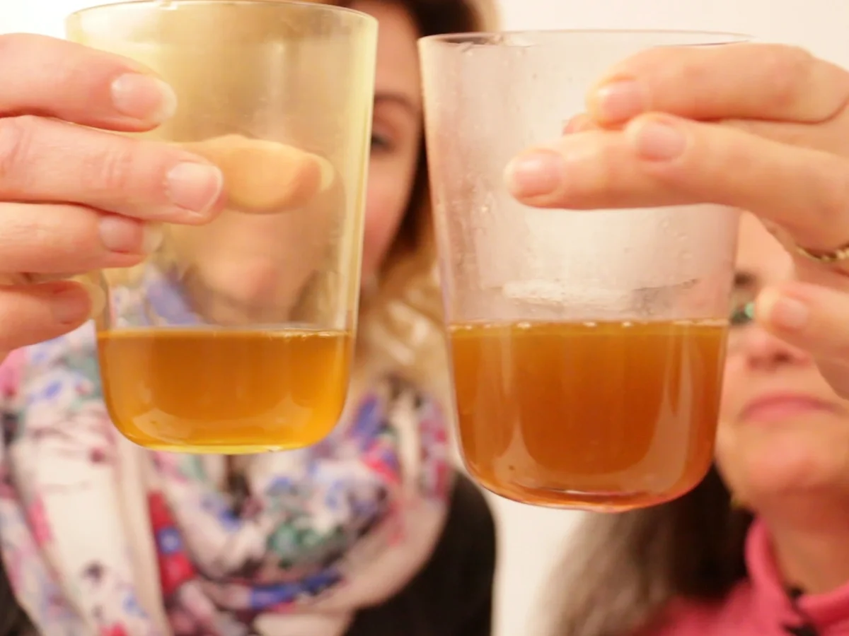 Rezept: Knochenbrühe: Beauty-Elixier für schöne Haut Bild Nr. 2222 Knochenbrühe: Beauty-Elixier für schöne Haut - Rezept - Bild Nr. 2222