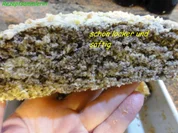 Mohnschnitten - Rezept - Bild Nr. 2223