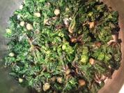 Flower Sprout - Rezept - Bild Nr. 2237