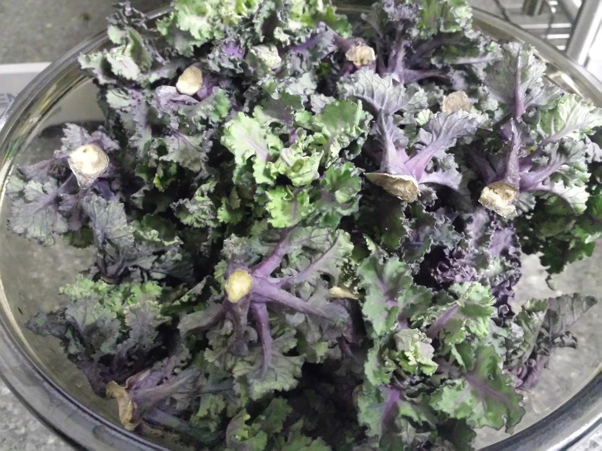 Flower Sprout Rezept mit Bild kochbar.de