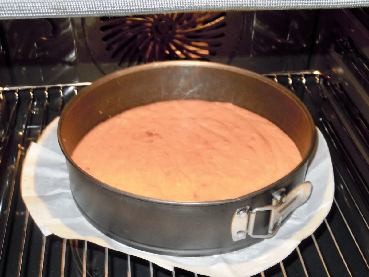 Biedermeier Torte für Sara zum Geburtstag - Rezept - Bild Nr. 2245