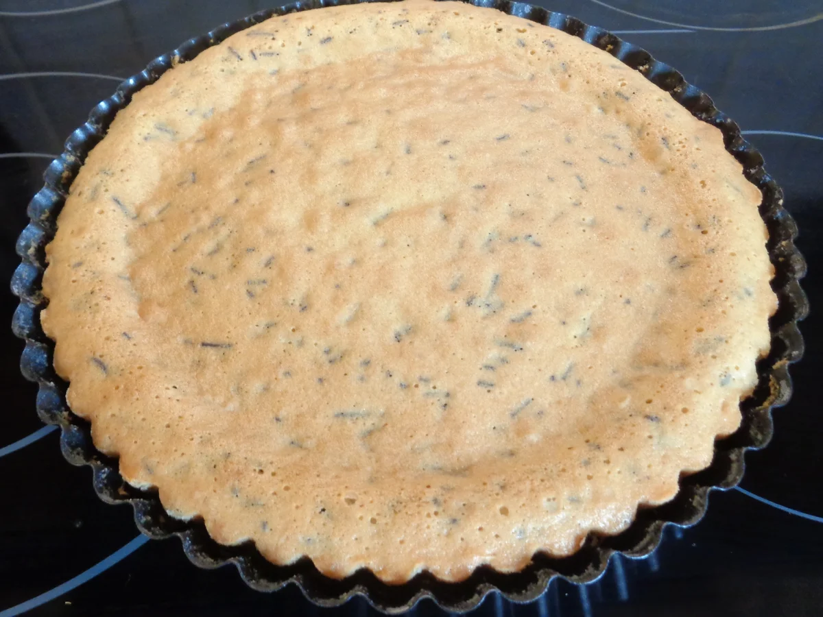 Kleine Mango - Schokoladen - Torte - Rezept - Bild Nr. 2256