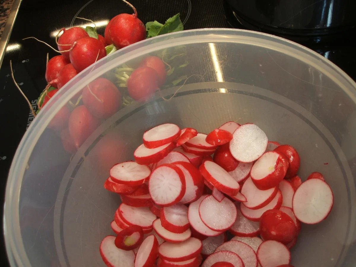 Rezept: Vorrat: Eingelegte Dill- Radieschen Bild Nr. 2260 Vorrat: Eingelegte Dill- Radieschen - Rezept - Bild Nr. 2260