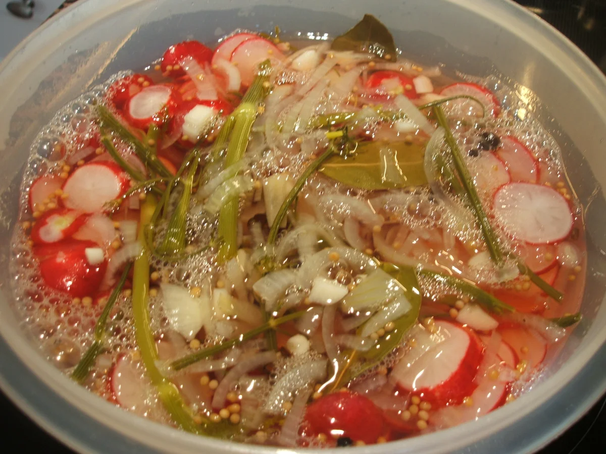 Rezept: Vorrat: Eingelegte Dill- Radieschen Bild Nr. 2262 Vorrat: Eingelegte Dill- Radieschen - Rezept - Bild Nr. 2262