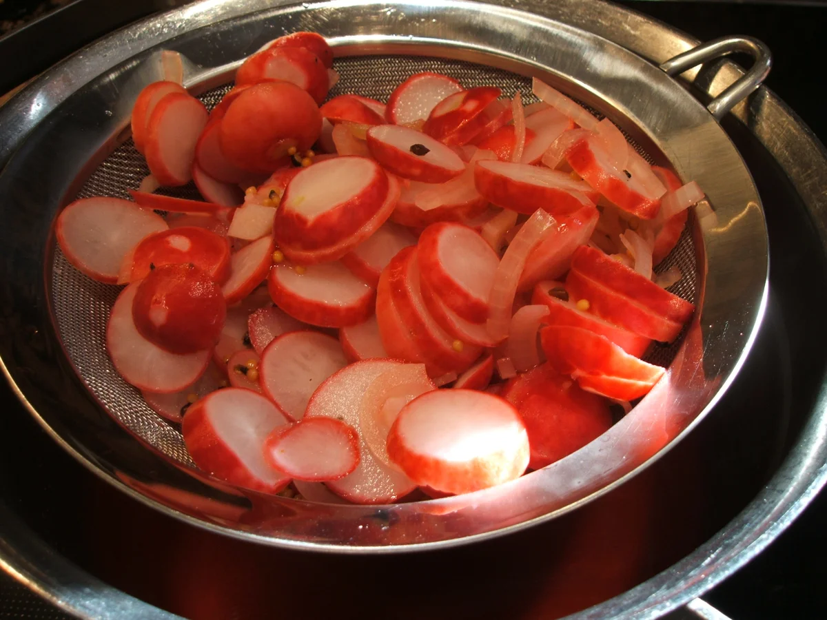 Rezept: Vorrat: Eingelegte Dill- Radieschen Bild Nr. 2263 Vorrat: Eingelegte Dill- Radieschen - Rezept - Bild Nr. 2263