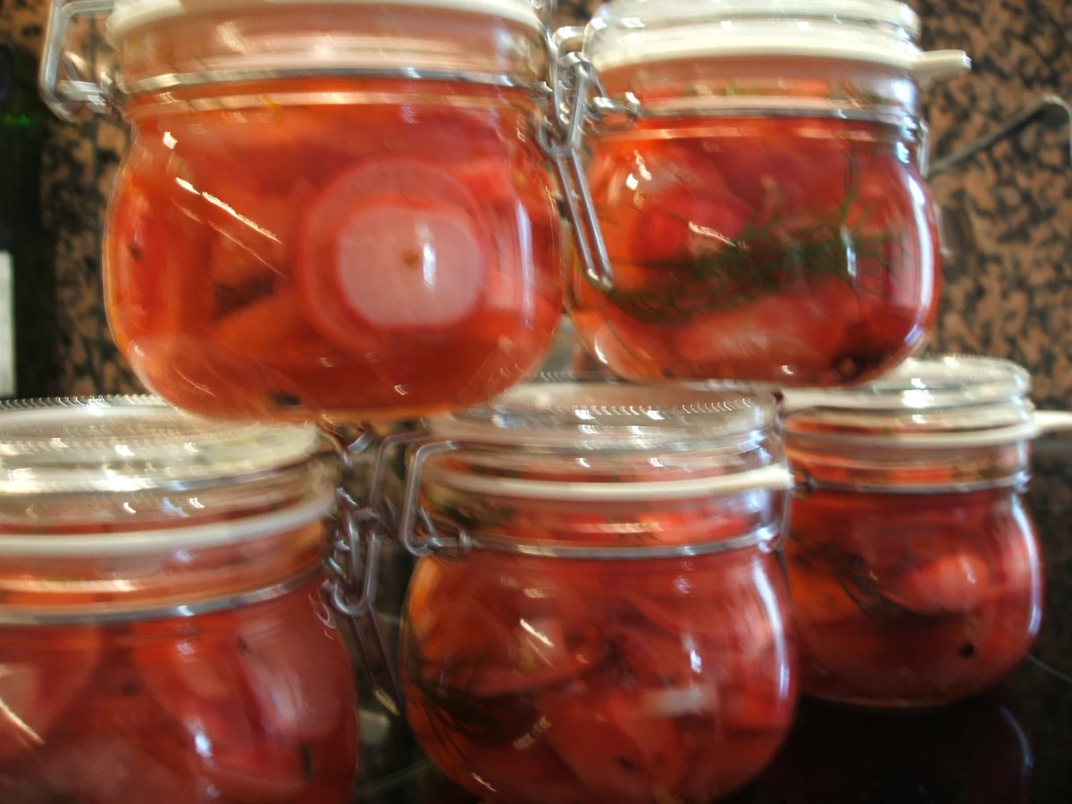 Rezept: Vorrat: Eingelegte Dill- Radieschen Bild Nr. 2266 Vorrat: Eingelegte Dill- Radieschen - Rezept - Bild Nr. 2266