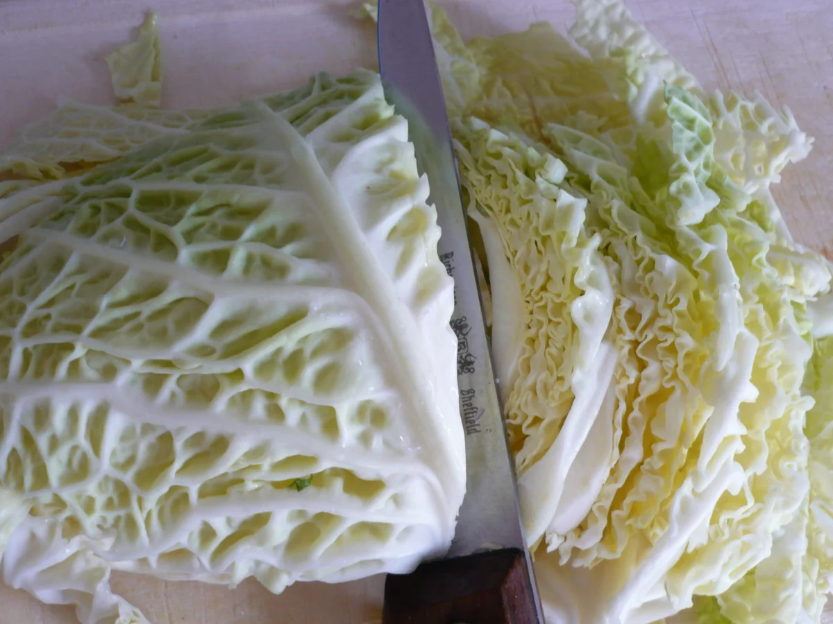 Rezept: Wirsing - Hack - Auflauf Bild Nr. 2284 Wirsing - Hack - Auflauf - Rezept - Bild Nr. 2284