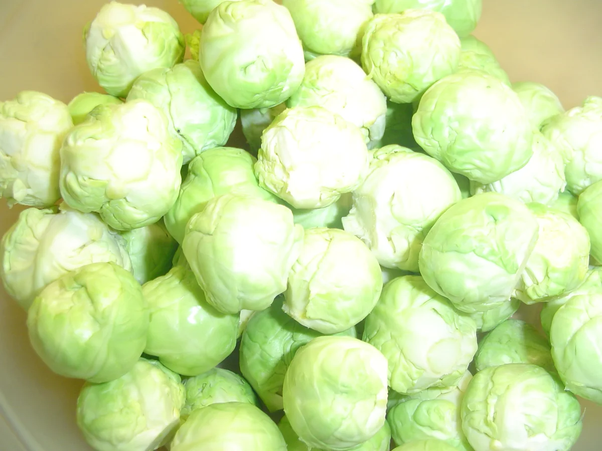 Rezept: Frischer Rosenkohl mit Polnischer Bratwurst Bild Nr. 2298 Frischer Rosenkohl mit Polnischer Bratwurst - Rezept - Bild Nr. 2298