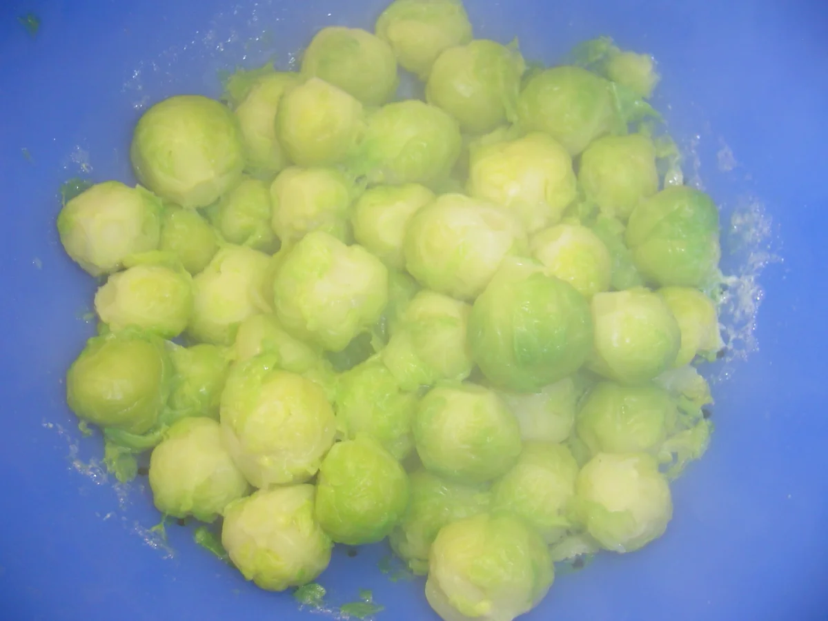 Rezept: Frischer Rosenkohl mit Polnischer Bratwurst Bild Nr. 2299 Frischer Rosenkohl mit Polnischer Bratwurst - Rezept - Bild Nr. 2299