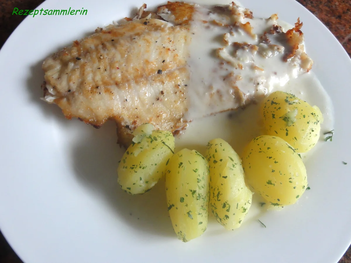 Fisch:   VIKTORIA - BARSCH an Feigensenf-Sauce - Rezept - Bild Nr. 2297