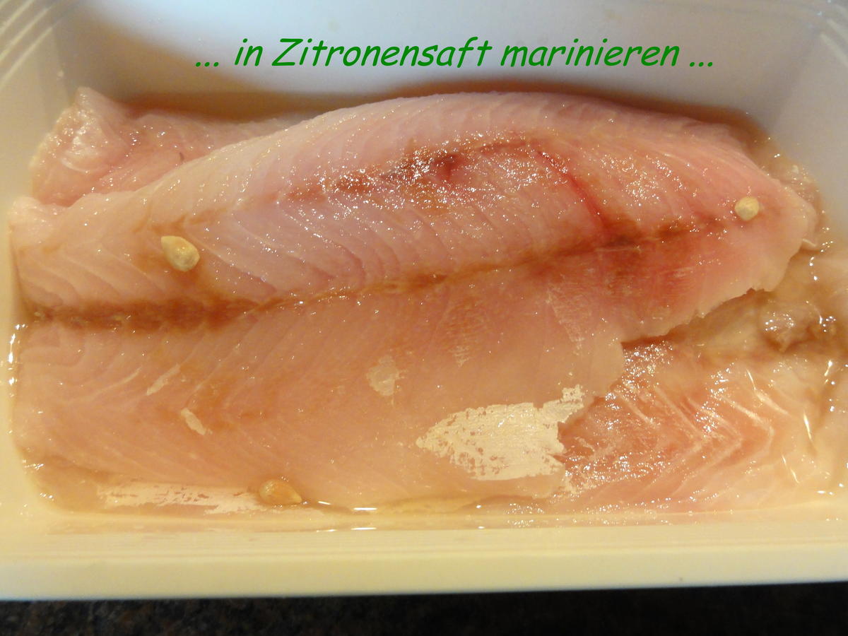 Fisch:   VIKTORIA - BARSCH an Feigensenf-Sauce - Rezept - Bild Nr. 2299