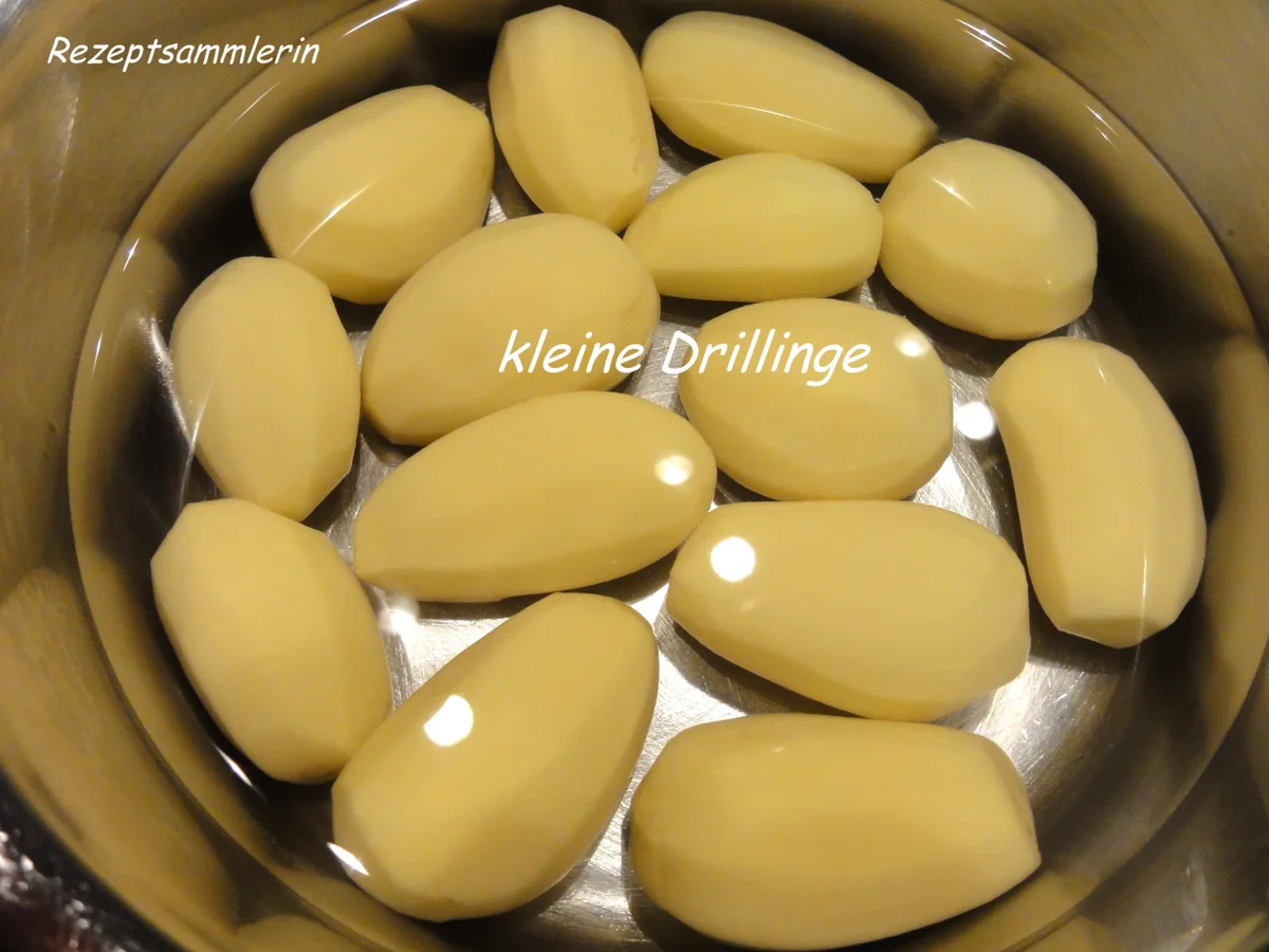 Fisch:   VIKTORIA - BARSCH an Feigensenf-Sauce - Rezept - Bild Nr. 2301