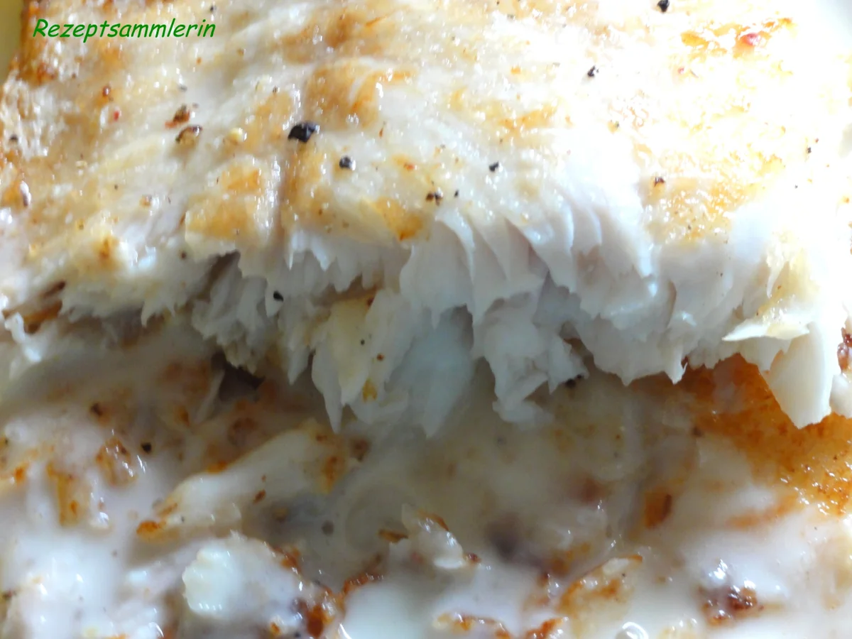 Fisch:   VIKTORIA - BARSCH an Feigensenf-Sauce - Rezept - Bild Nr. 2305