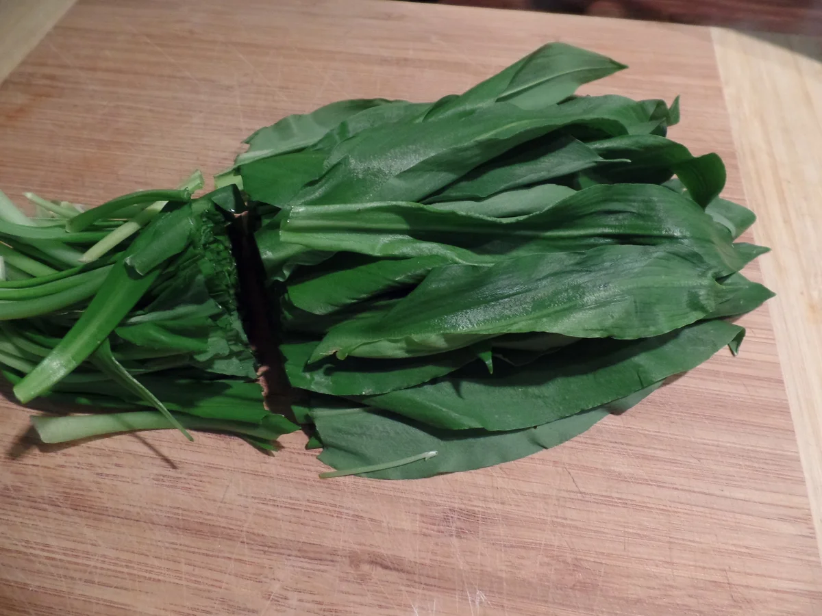 Bärlauchbrot - Rezept - Bild Nr. 2310