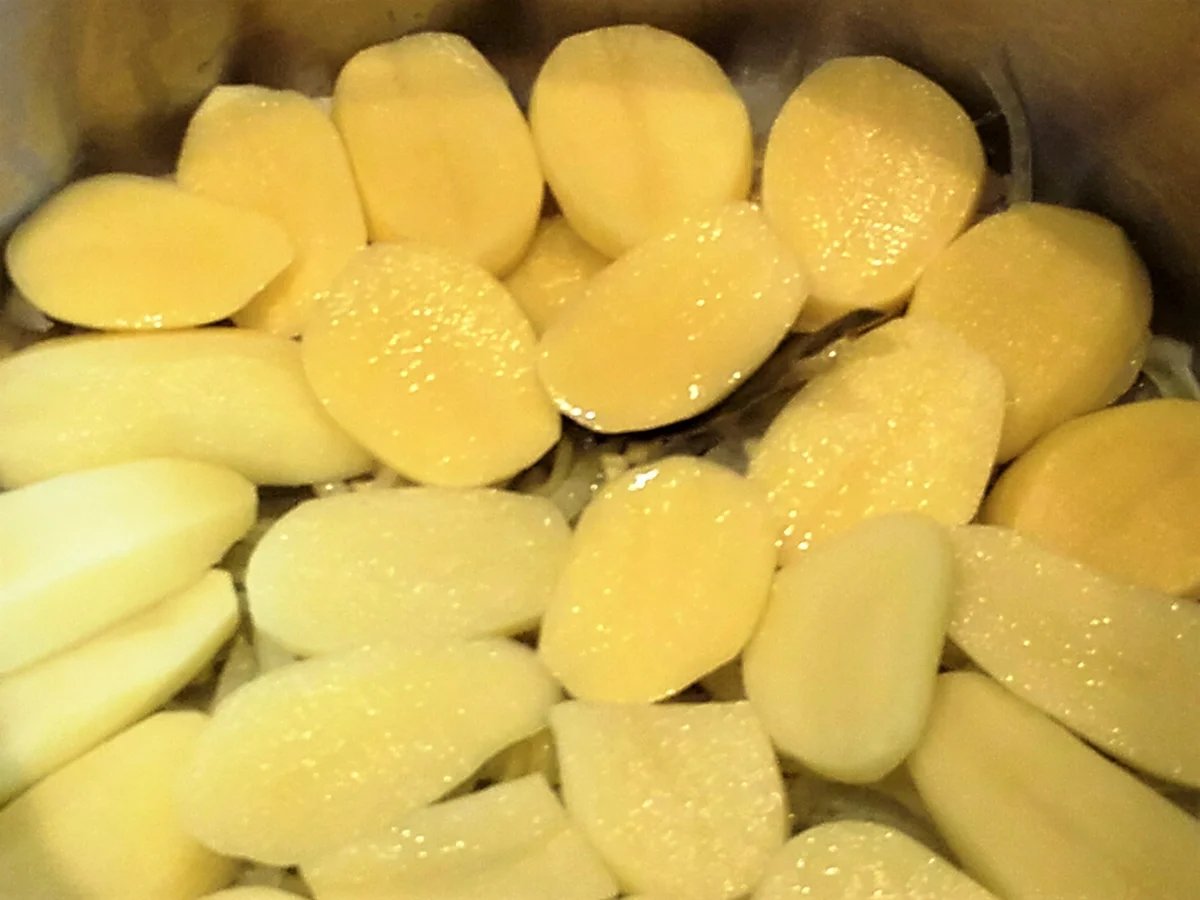 Caldeirada nach Ana´s Art - Rezept - Bild Nr. 2355