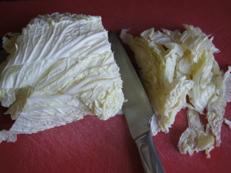 Asiatischer Salat mit Party Crevetten - Rezept - Bild Nr. 2368