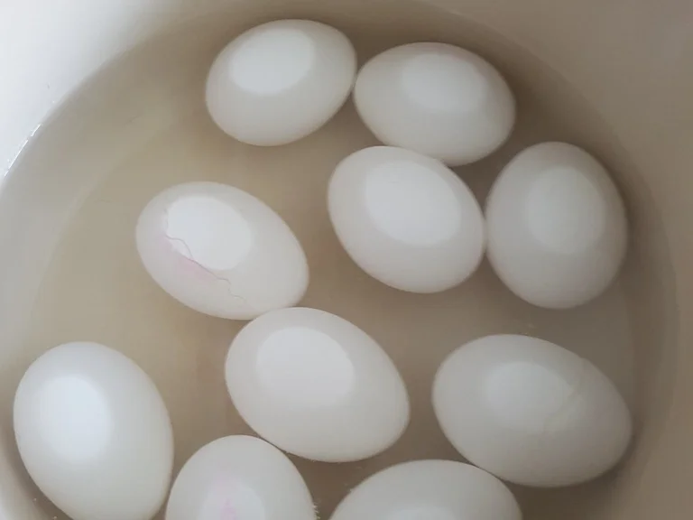 Rezept: Gemischter Salat mit gekochter Eidotter Cremsosse Bild Nr. 2367 Gemischter Salat mit gekochter Eidotter Cremsosse - Rezept - Bild Nr. 2367