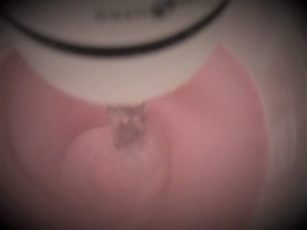 Erdbeermilkshake mit Vanillinzucker und Wildblütenhonig a la Britta - Rezept - Bild Nr. 2378