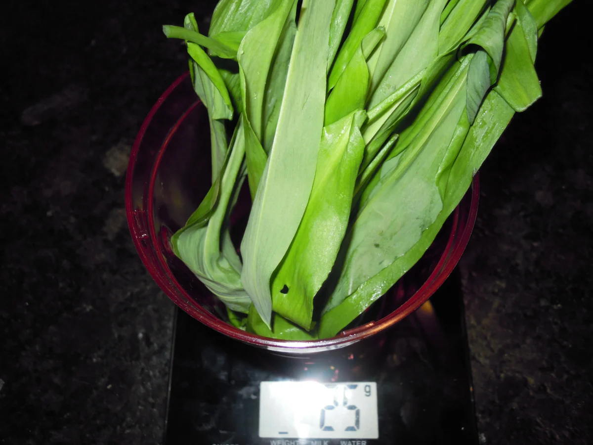 Bärlauch Salz - Rezept - Bild Nr. 2378