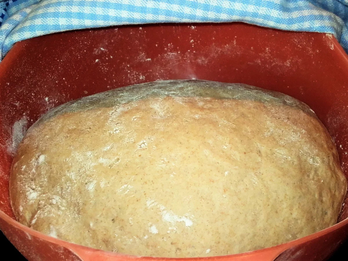 Rezept: Landbrot mit Sauerteig - Mischbrot Bild Nr. 2408 Landbrot mit Sauerteig - Mischbrot - Rezept - Bild Nr. 2408