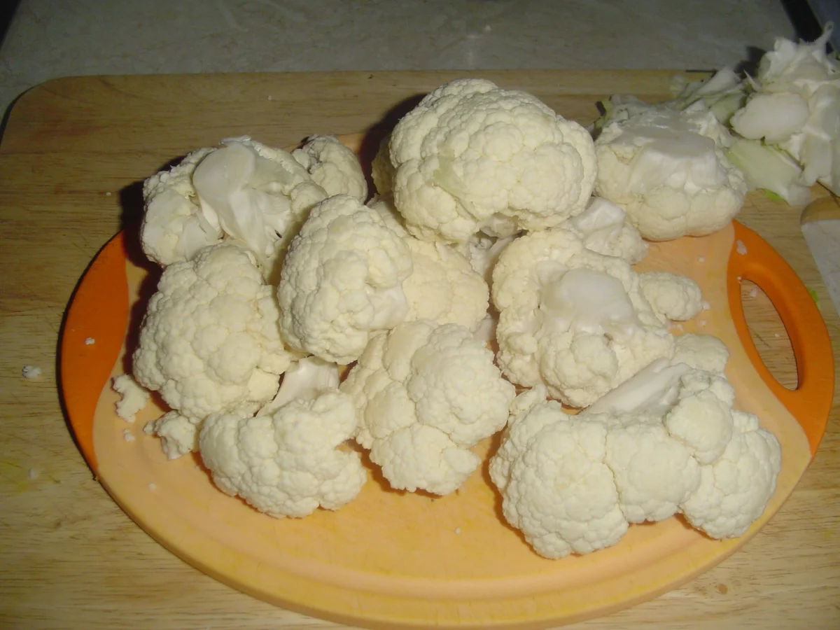 Karotte trifft Blumenkohl - Rezept - Bild Nr. 2407