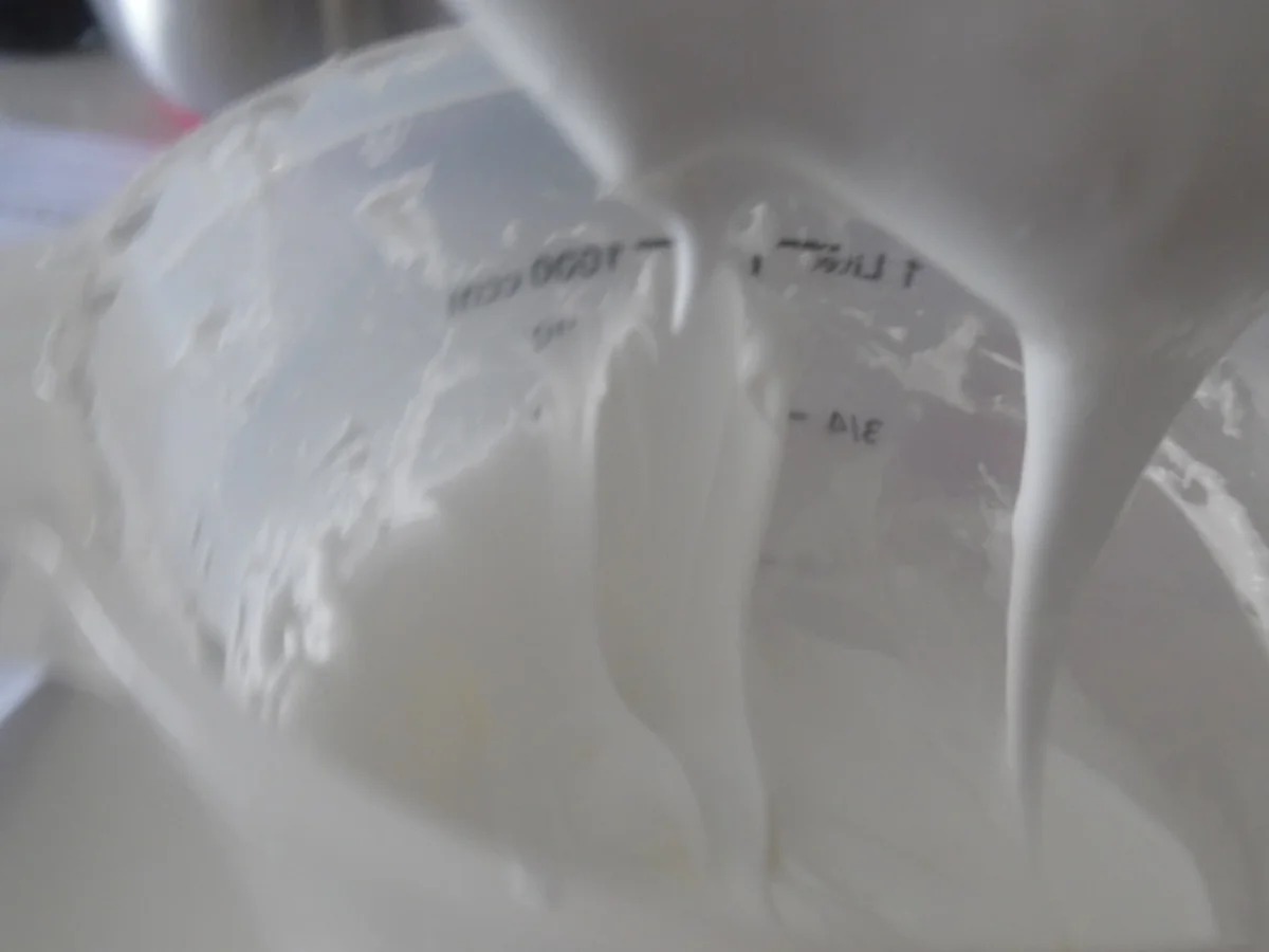 Ingwer-Kekse (Ginger-Biscuits) mit Oster-Deko - Rezept - Bild Nr. 2403