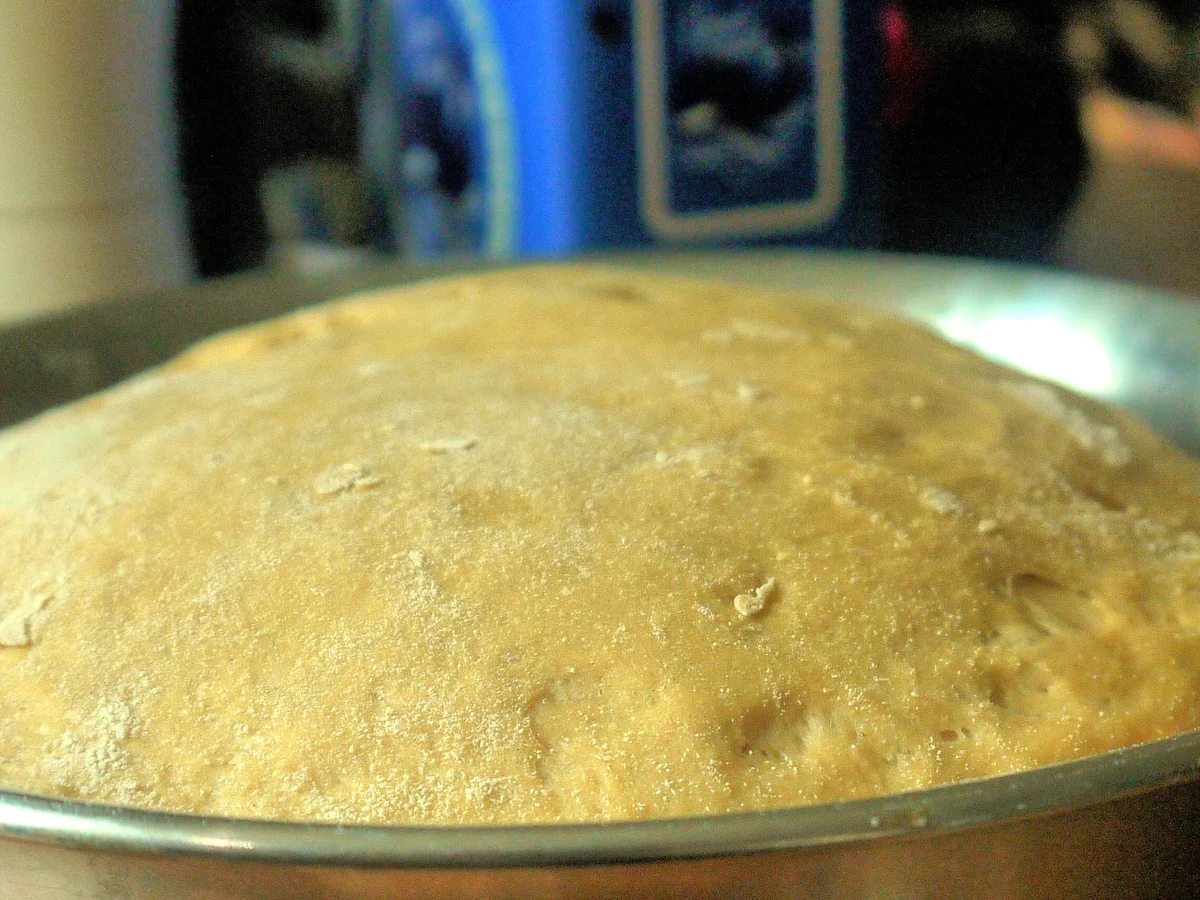 Kürbiskern-Bärlauch-Baguette - Rezept - Bild Nr. 2424