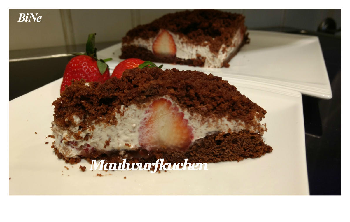 BiNe` S MAULWURFKUCHEN MIT ERDBEEREN - Rezept - Bild Nr. 2445