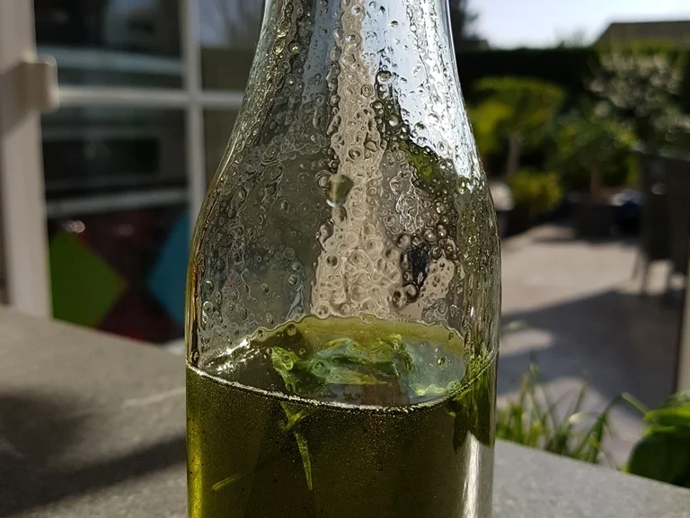 Waldmeistersirup - Rezept - Bild Nr. 2442