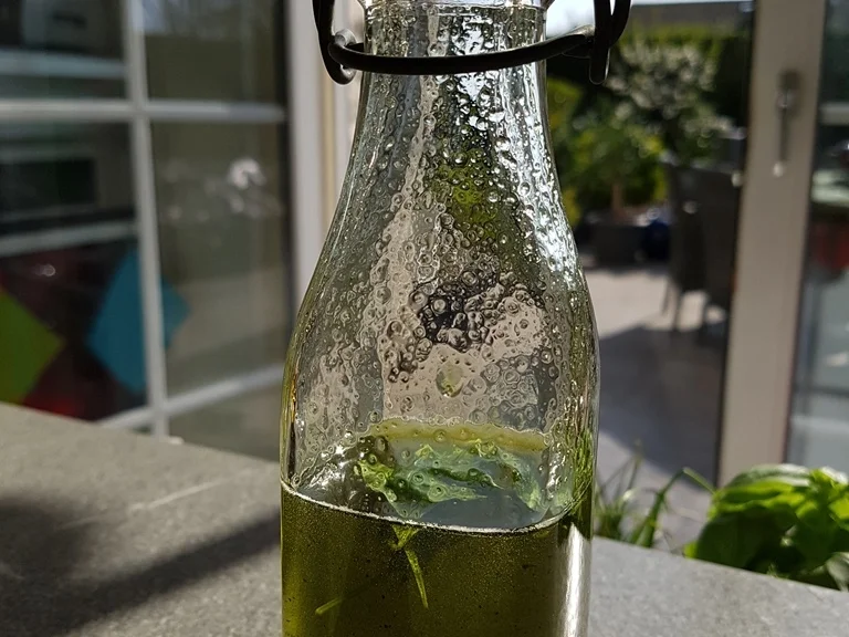 Waldmeistersirup - Rezept - Bild Nr. 2443