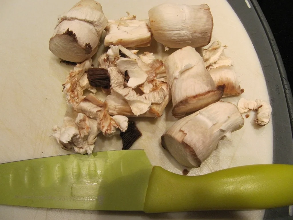 Rezept: Gefüllte Riesen Champignons Bild Nr. 2440 Gefüllte Riesen Champignons - Rezept - Bild Nr. 2440