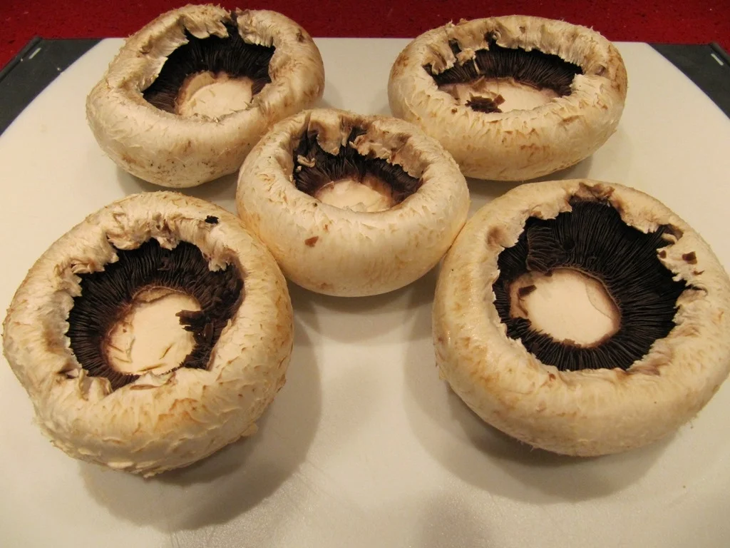 Rezept: Gefüllte Riesen Champignons Bild Nr. 2441 Gefüllte Riesen Champignons - Rezept - Bild Nr. 2441