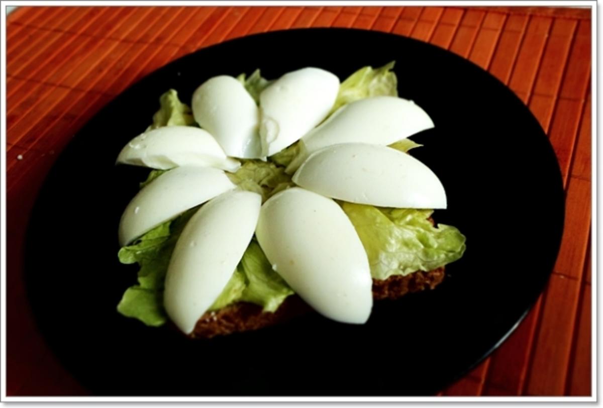 Glücksbringer – Golden Toast mit Eisbergsalat, Eiern und Marienkäfer - Rezept - Bild Nr. 2452