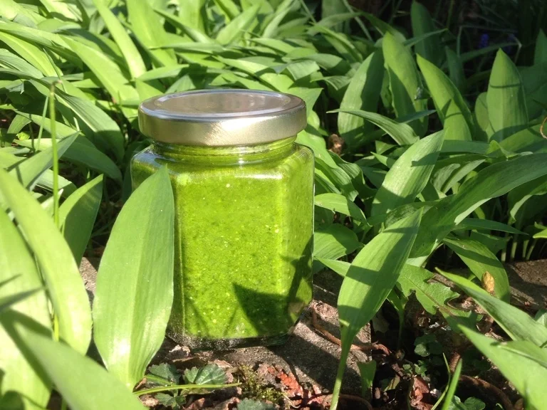 Rezept: Crysyl's Frühlings-Pesto Bild Nr. 2449 Crysyl's Frühlings-Pesto - Rezept - Bild Nr. 2449