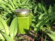 Crysyl's Frühlings-Pesto - Rezept - Bild Nr. 2449