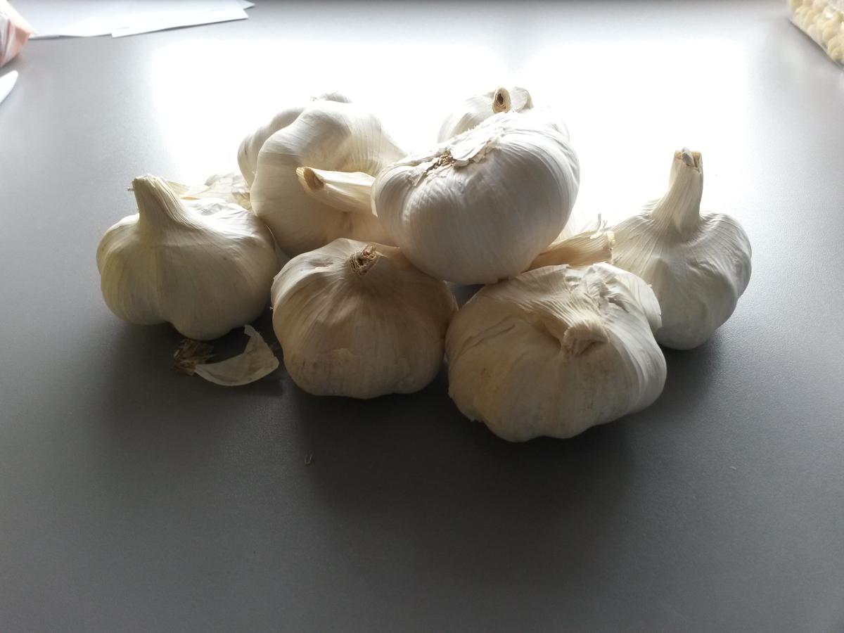 eingelegter Knoblauch - Rezept - Bild Nr. 2468