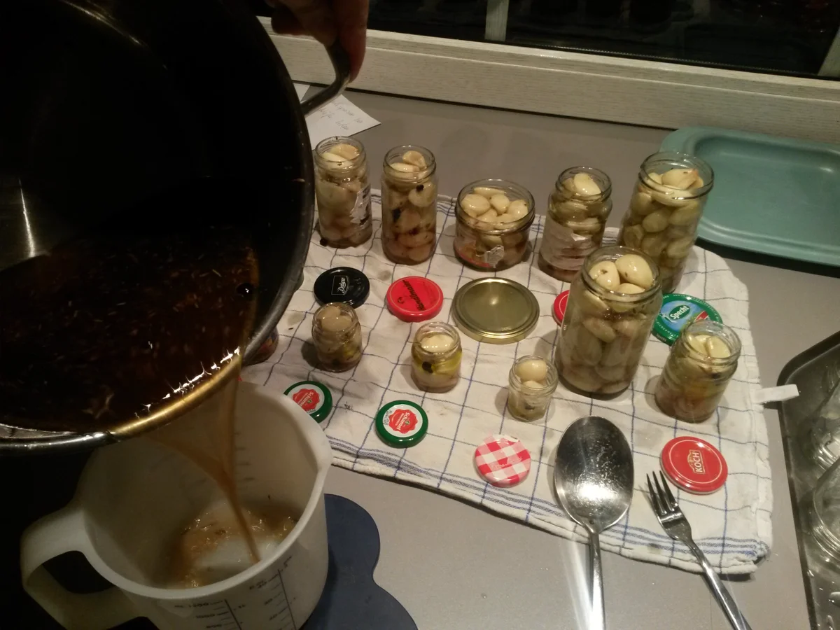 eingelegter Knoblauch - Rezept - Bild Nr. 2474