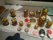 eingelegter Knoblauch - Rezept - Bild Nr. 2475